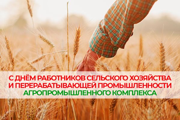 С Днём работников сельского хозяйства и перерабатывающей промышленности!